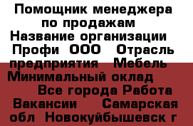 Помощник менеджера по продажам › Название организации ­ Профи, ООО › Отрасль предприятия ­ Мебель › Минимальный оклад ­ 60 000 - Все города Работа » Вакансии   . Самарская обл.,Новокуйбышевск г.